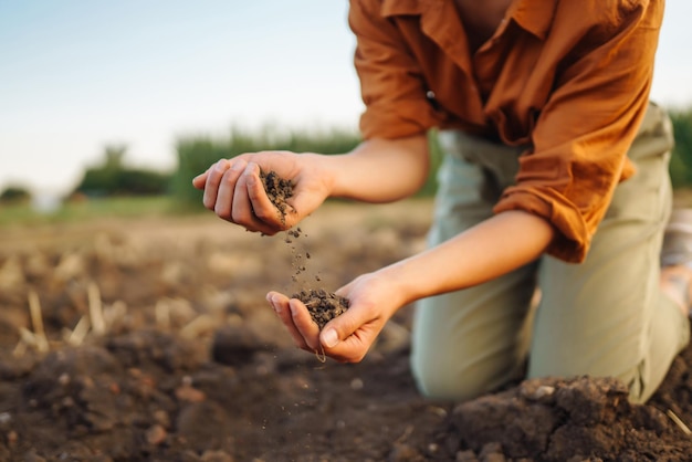 La main féminine d'un agriculteur expert recueille le sol et vérifie la santé du sol avant la croissance d'une graine de légume