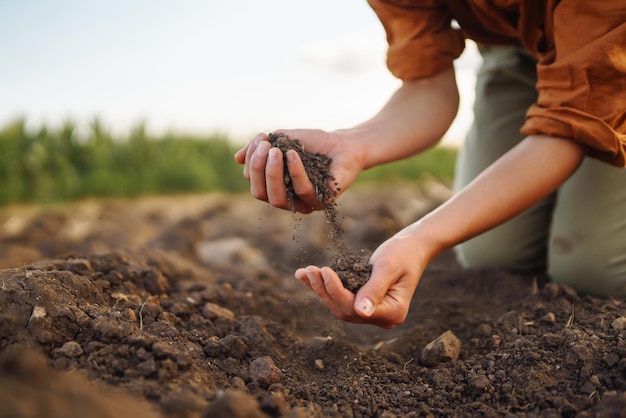 La main féminine d'un agriculteur expert recueille le sol et vérifie la santé du sol avant la croissance d'une graine de légume