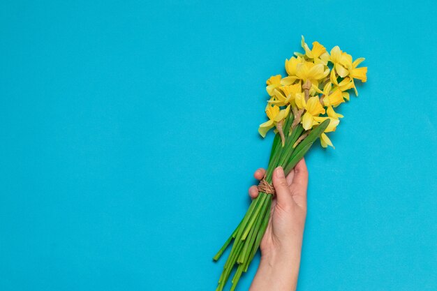 Main féminine avec un bouquet de narcisses jaunes