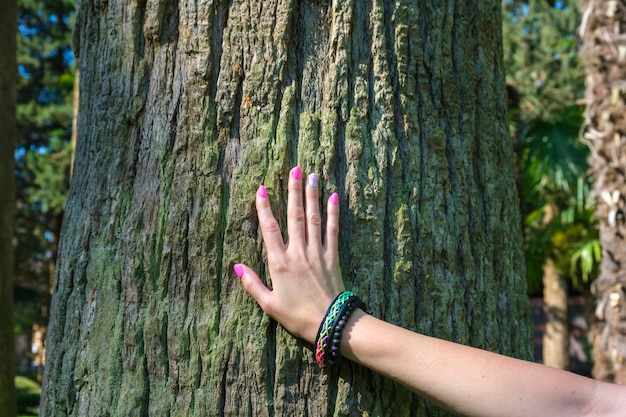 Photo main féminine avec bracelet d'amitié fait main tenant un tronc d'arbre concept d'amitié, d'amour et d'unité avec la nature décoration de poignet noire et colorée