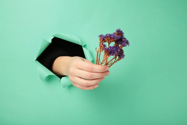 Main féminine avec des fleurs des champs perforant le papier à la menthe Patriote ukrainien