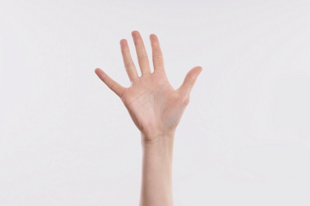 Main féminine sur fond blanc