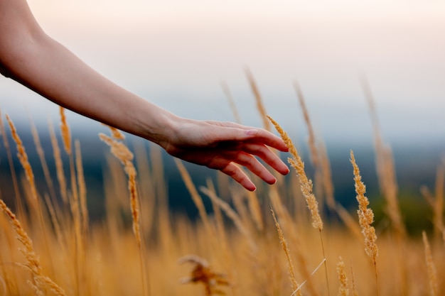 Main féminine sur l'herbe jaune à la campagne