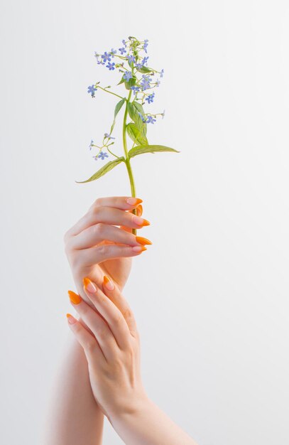 Main féminine avec manucure avec fleur sur fond blanc