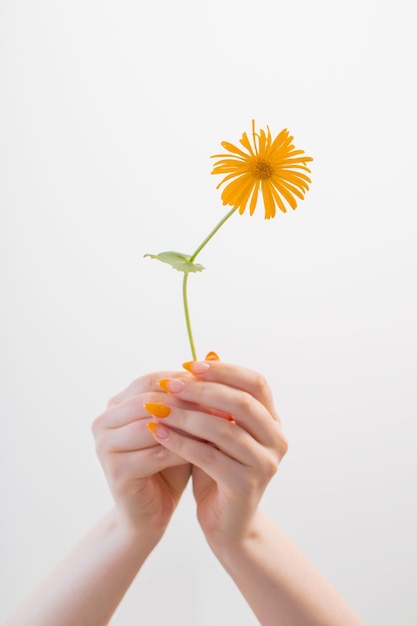 main féminine avec manucure avec fleur sur fond blanc