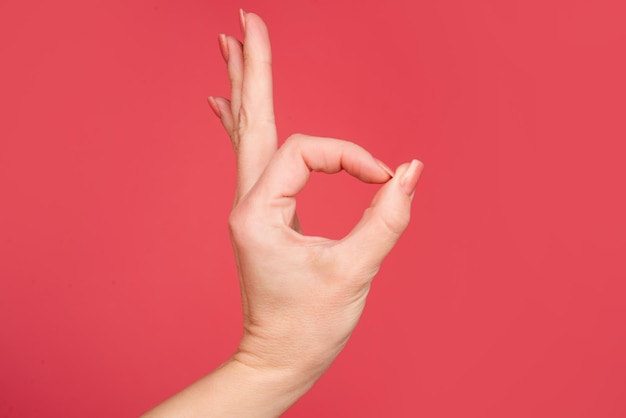 Main féminine montrant un geste ok sur fond rouge