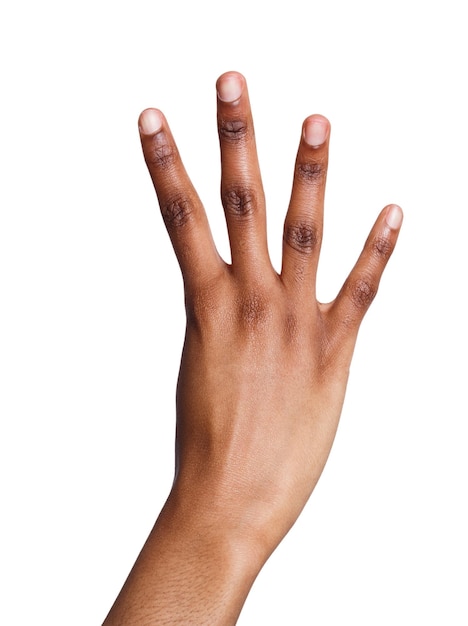 La main féminine noire montre le numéro quatre isolé. Comptage des gestes, énumération, fond blanc