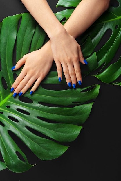 Main féminine avec des ongles de couleur bleu classique manucure sur feuille de monstera. Photo créative