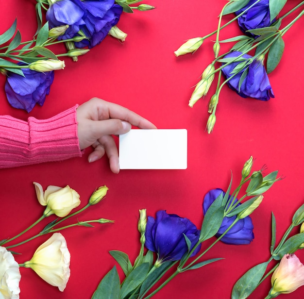 Main féminine en pull rose tenant une carte de visite de papier blanc vierge