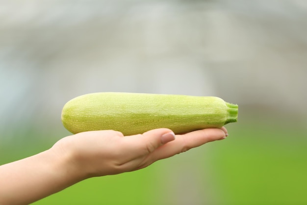 Main féminine tenant la courge sur fond flou