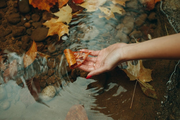 Main féminine tenant des feuilles d'érable orange sur fond d'eau