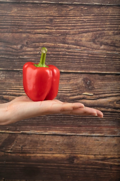 Main féminine tenant le poivron rouge sur la surface en bois