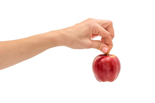 Main féminine tenant la pomme rouge. Isolé sur blanc