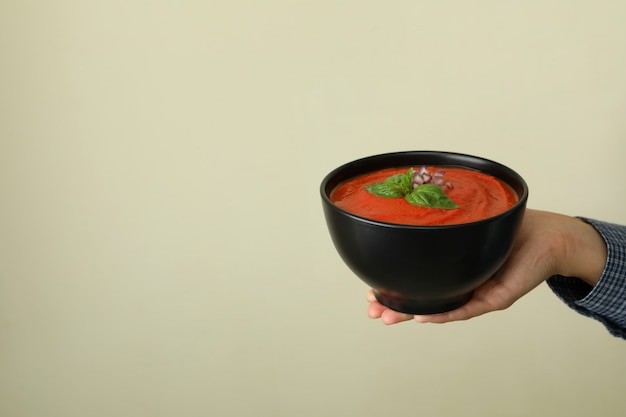 Une main féminine tient une assiette de savoureuse soupe au gaspacho