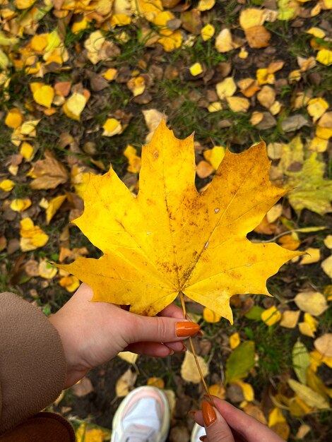 Photo une main féminine tient une feuille d'automne jaune