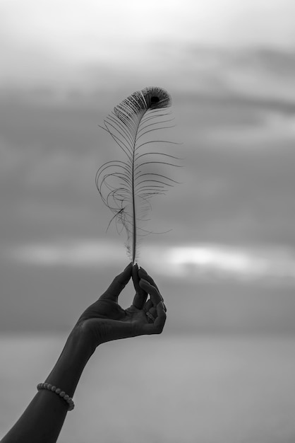 Une main féminine tient une plume de paon contre un beau coucher de soleil près de la mer sur la plage tropicale en gros plan Noir et blanc