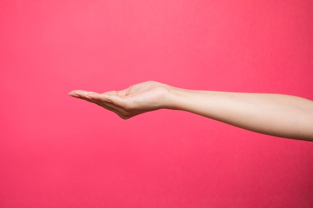 Main féminine vide faisant semblant de tenir quelque chose, isolé sur fond rose