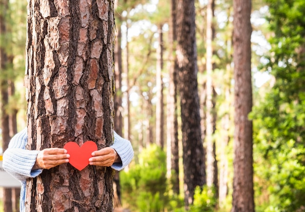 La main d'une femme adulte dans les bois met une forme de cœur sur le tronc pour nous dire que chaque arbre a un cœur Arrière-plan de la forêt de pins Concept du jour de la Terre Ensemble, sauvez la planète de la déforestation