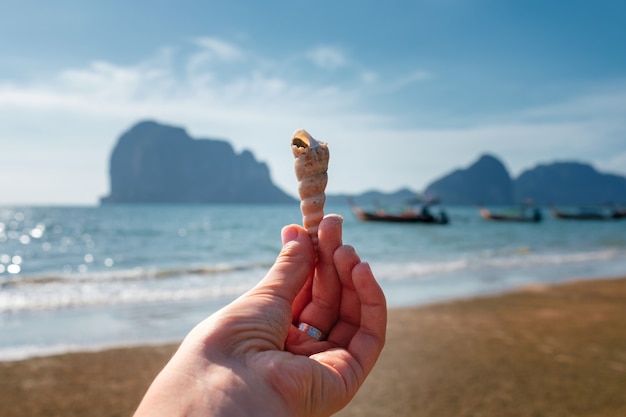 Main de femme avec une belle conque blanche sur la mer.