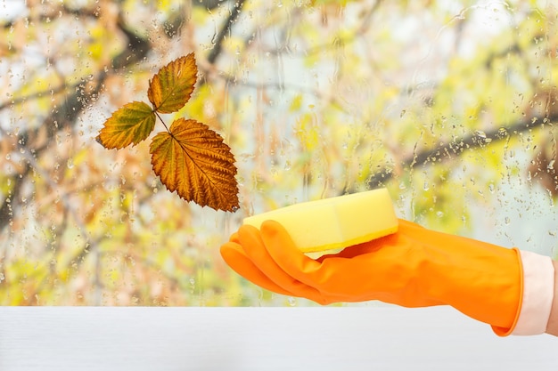 Main de femme dans un gant de protection orange avec une éponge devant la fenêtre avec des gouttes d'eau et des feuilles d'automne. Concept de lavage et de nettoyage.