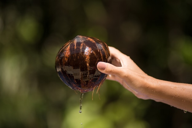 Une main de femme a extrait la noix de coco de l'eau.