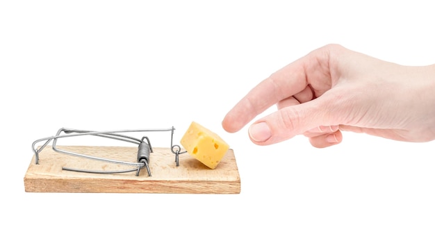 Main de femme prenant le fromage de la souricière sur fond blanc Fromage gratuit uniquement dans la souricière