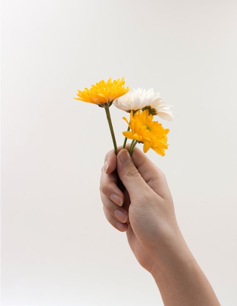 Main de femme tenant un bouquet de fleurs sur blanc