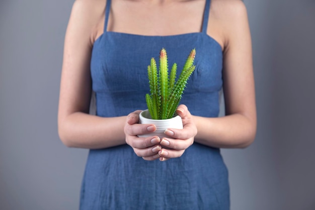 Main de femme tenant des cactus