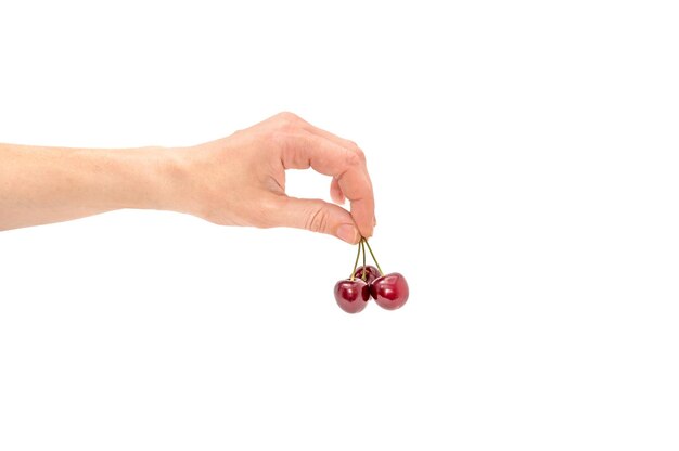 Main de femme tenant des cerises isolées sur blanc