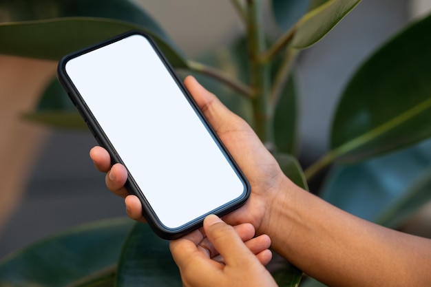 Main de femme tenant un téléphone avec un blanc