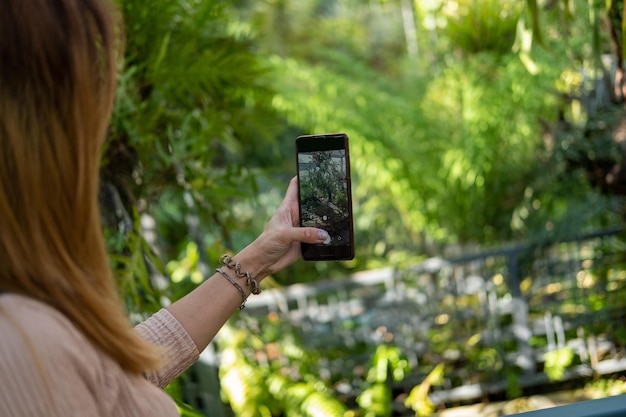 Photo la main d'une femme tenant un téléphone portable prenant des photos d'un jardin botanique