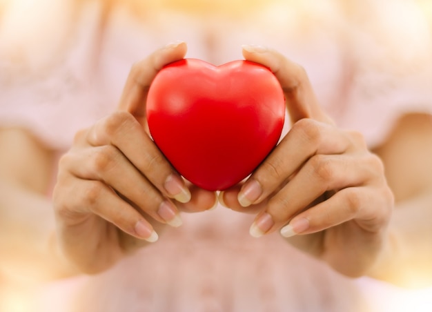 La main de la femme tient un cœur en caoutchouc rouge pour montrer l'amour le jour de la Saint-Valentin.