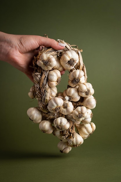 La main d'une femme tient une couronne d'ail parfumée se trouve sur un fond d'olive Agriculture et élevage