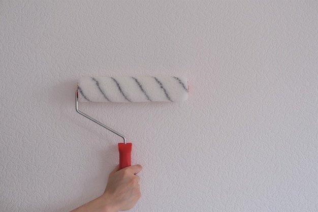 La main d'une femme tient un rouleau avec de la peinture sur un fond de mur blanc