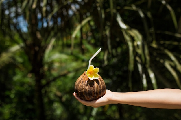 Main de femme tient un verre de noix de coco avec une fleur jaune à ce sujet. vert jungle