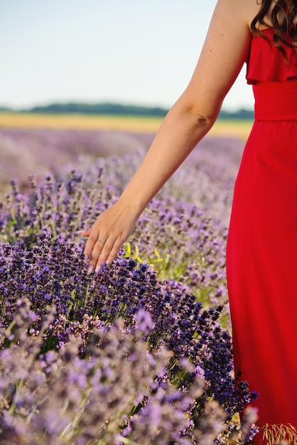 La main d'une femme touchant la lavande