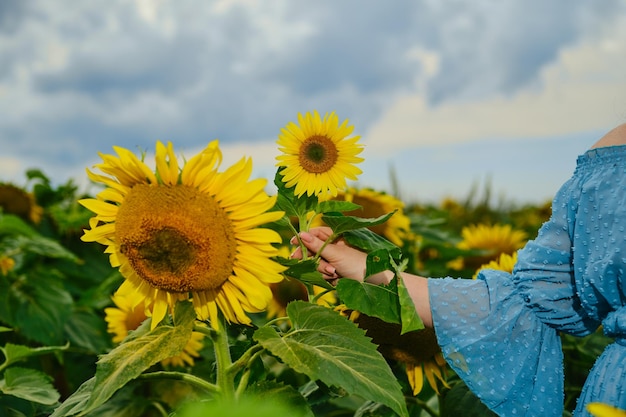 Main d'une femme avec tournesol