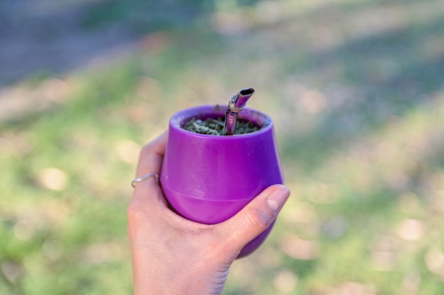 Main De Femme Avec Yerba Mate Avec Arrière-plan Flou