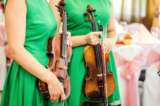 La main de la fille sur les cordes d'un violon