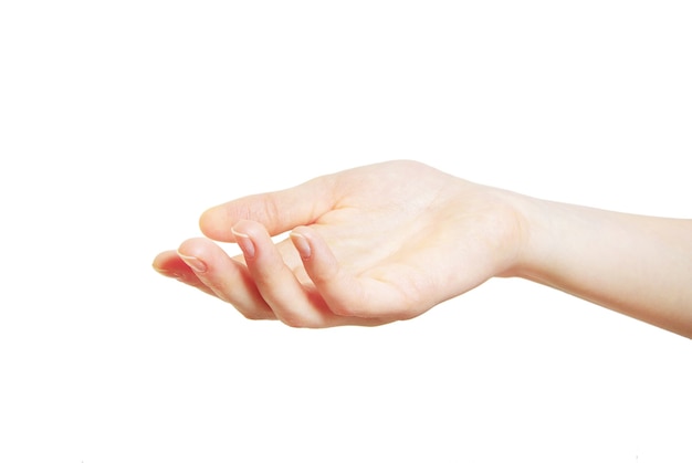 Main sur fond blanc Ñ