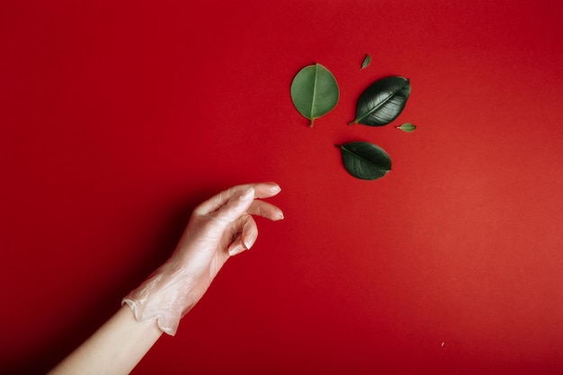 La main avec un gant en latex médical blanc avec des bijoux atteint un concept de luxe et écologique de feuille verte