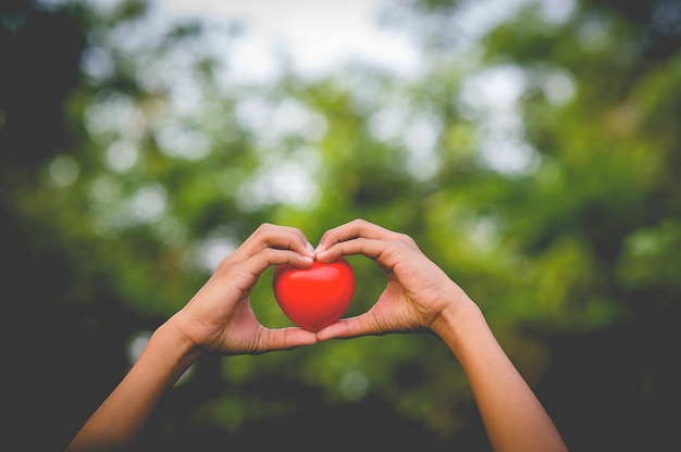 La main de garçon tient un beau coeur rouge la forme dans le fond naturel.