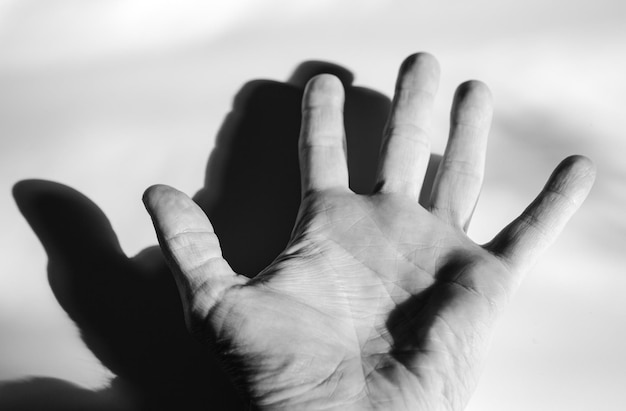 Main grise noire et blanche incolore sur fond blanc avec des ombres Résumé de la paume de la main masculine