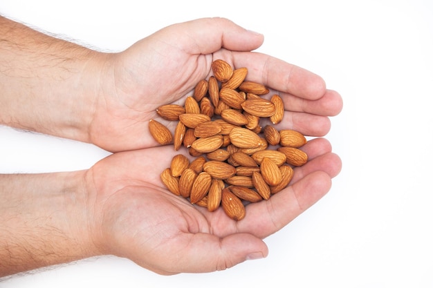 Main avec de grosses noix d'amandes pelées crues naturelles