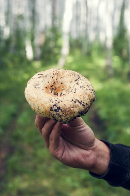 Main d&#39;homme avec champignon cru dans une forêt