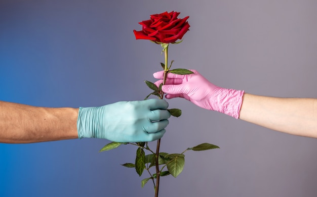 La main d'un homme dans un gant bleu donne une rose rouge à la main d'une femme dans un gant rose