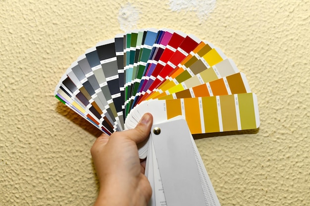 La main de l'homme montrant une palette de couleurs à appliquer sur un mur Sélection de couleurs couleurs RAL