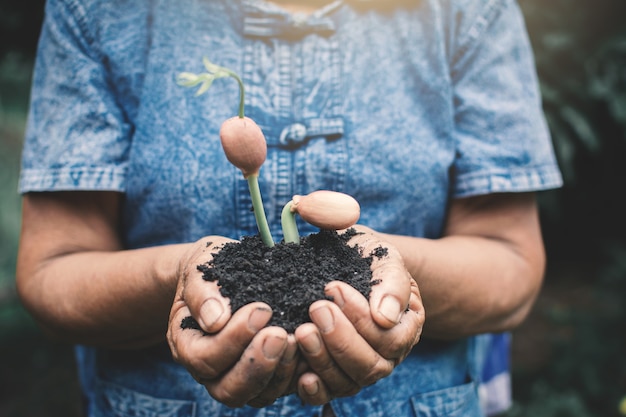 Main de l&#39;homme tenant une plante verte dans la nature