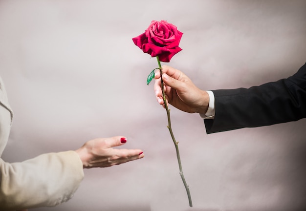 Une main d&#39;homme tend une belle rose à une femme