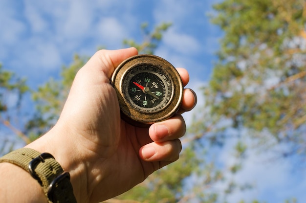 La main de l'homme tient la boussole contre le ciel bleu et la forêt de conifères le jour ensoleillé